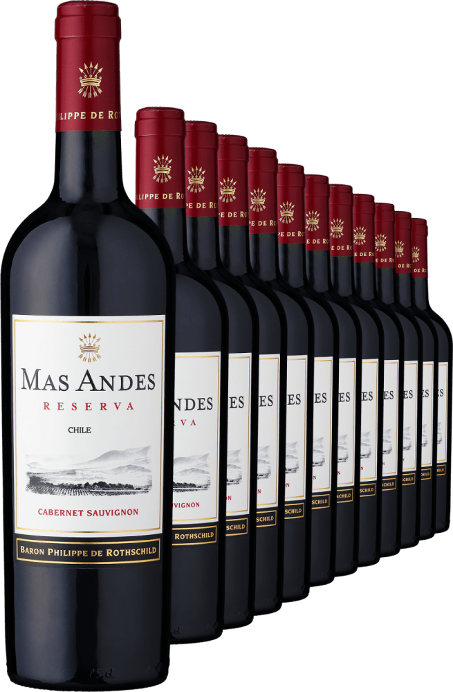 2022 Rothschild Mas Andes Reserva Cabernet Sauvignon im 12er Vorratspaket - Die Welt der Weine