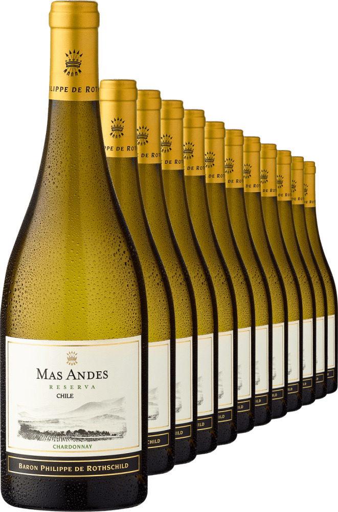 2022 Rothschild Mas Andes Reserva Chardonnay im 12er Vorratspaket - Die Welt der Weine