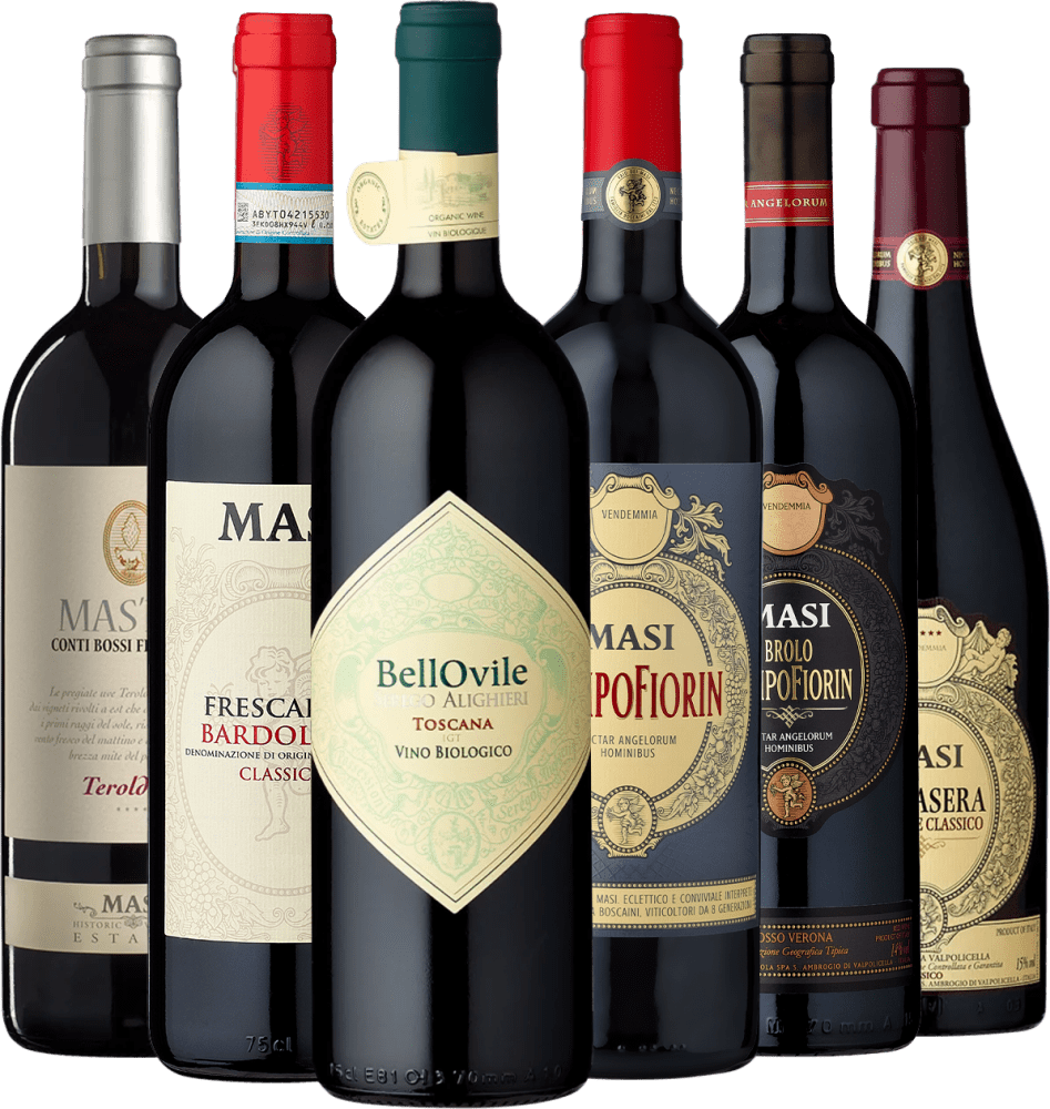 6er Probierpaket Masi – Exzellenz in Rot - Die Welt der Weine