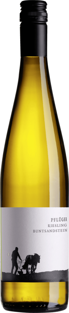 Pflueger Riesling Buntsandstein – Bio - Die Welt der Weine